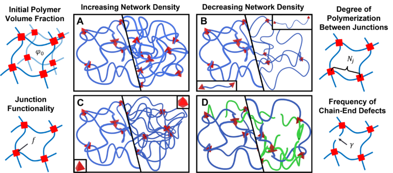 The Swollen Polymer Network Model - Hydrogel Design