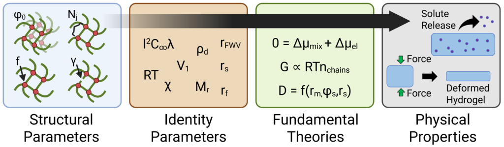 A schematic representing the steps in the swollen polymer network model from structural parameters through identity parameters and fundamental theories to predicting physical properties